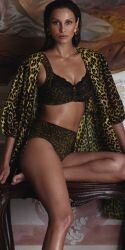 Anita gold cat 125x250